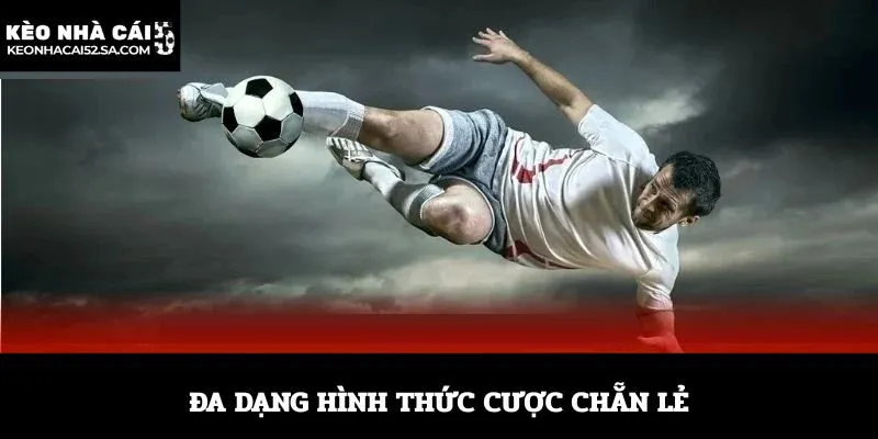 Đa dạng hình thức cược chẵn lẻ