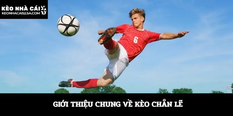 Giới thiệu chung về kèo chẵn lẽ
