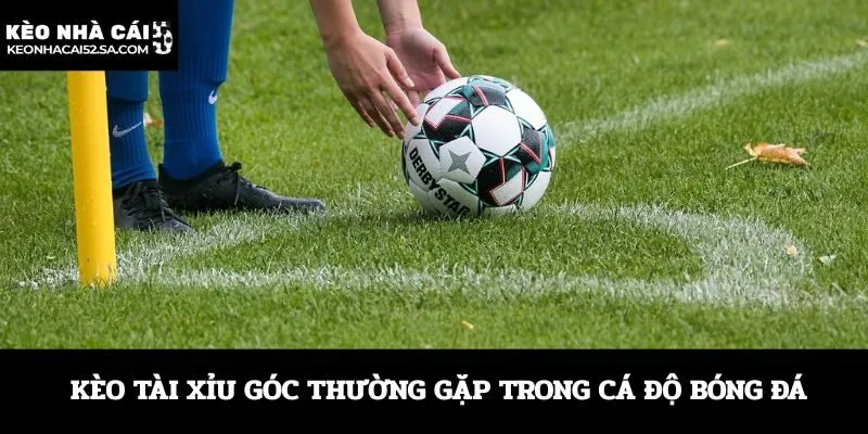 Kèo Tài Xỉu góc thường gặp trong cá độ bóng đá